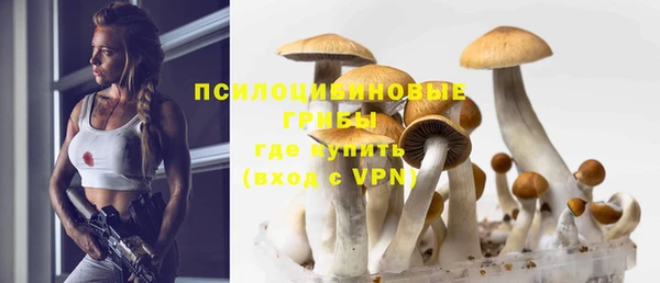 spice Бронницы