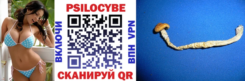 hydra как войти  Дзержинск  Псилоцибиновые грибы Psilocybine cubensis 